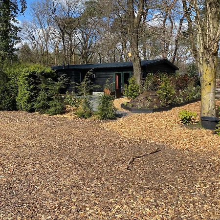 De Veluwse Bos Lodge Otterlo Exterior foto