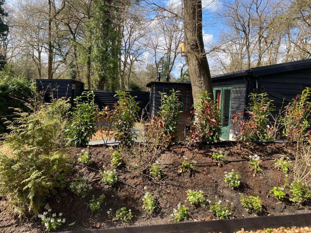 De Veluwse Bos Lodge Otterlo Exterior foto